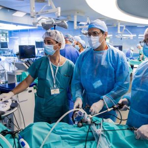 Intraoperative Ultrasound Navigation for Liver Surgery and Thermoablation Advanced Course