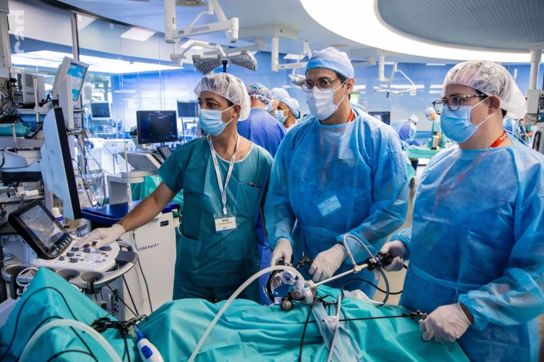 Intraoperative Ultrasound Navigation for Liver Surgery and Thermoablation Advanced Course