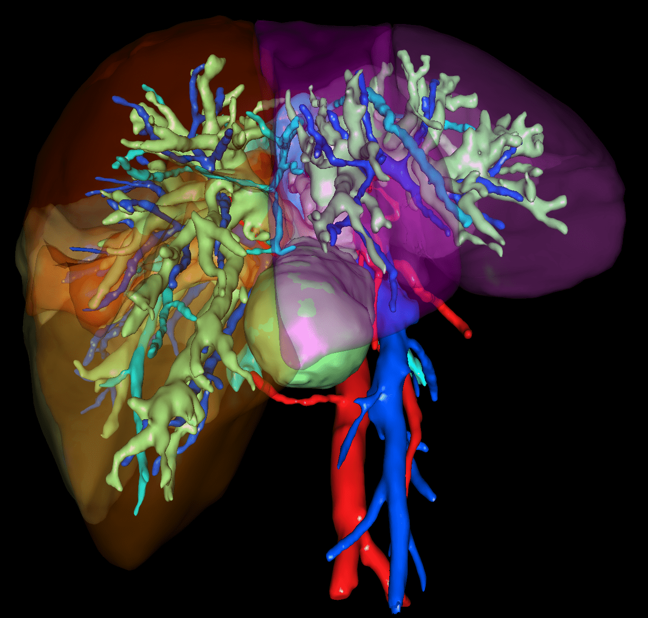 https://develop2.wp.ircad.net/wp-content/uploads/liver-Booth-01.png