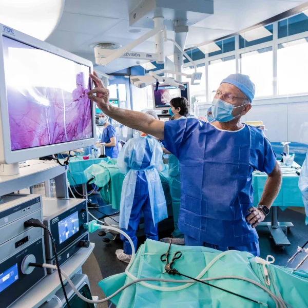 Endometriosis surgery from A to Z
