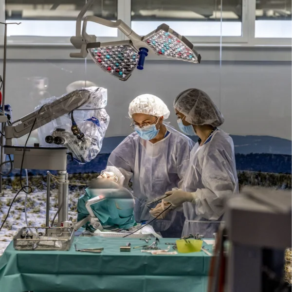 Skull base 360-Degree – The full spectrum Micro-Endo-Radiosurgery