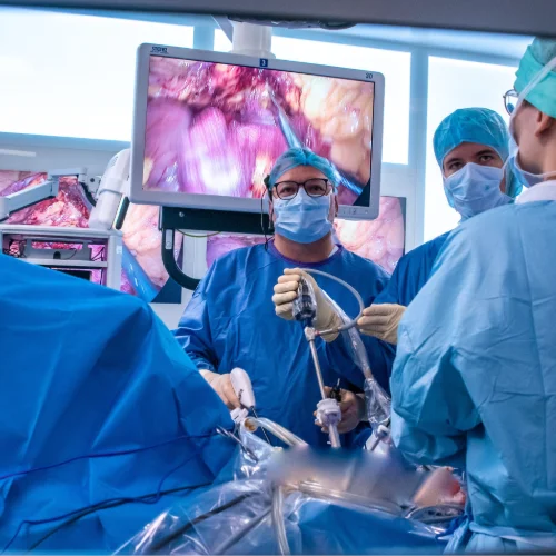 Wrist Surgery Course